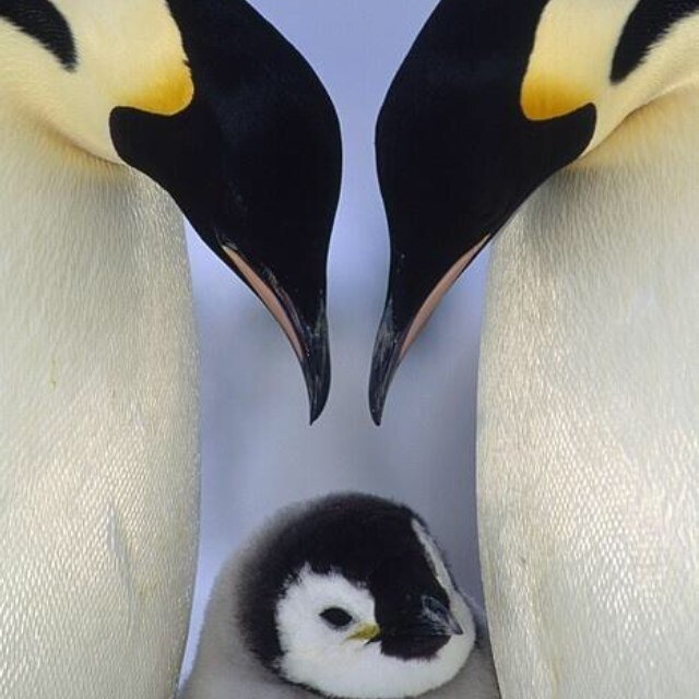 cassy_hays's profile picture. 