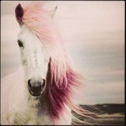 AANANANANANASS's profile picture. 