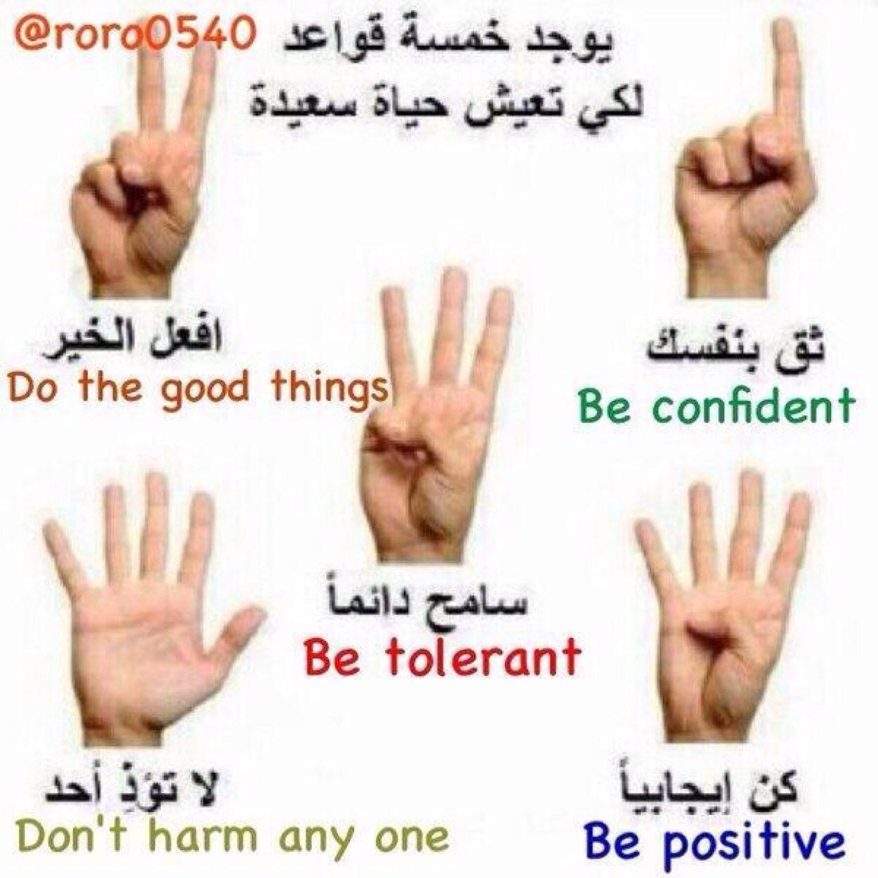 saeedaalmenhal1's profile picture. 