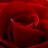 ElenaMCambio's profile image