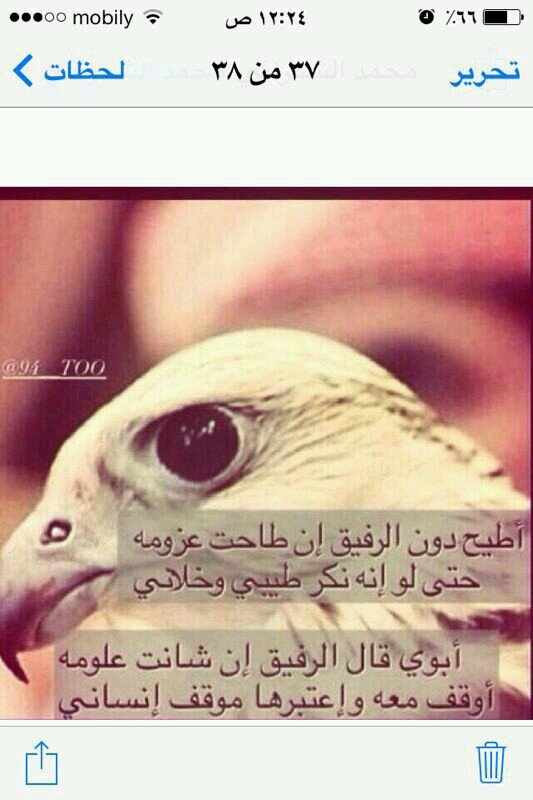 ﻻ الله إلا الله محمد رسول الله