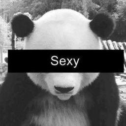 pandamx_ Profile Picture