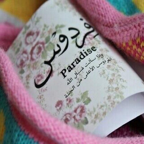 Favorites_82's profile picture. انفض بس الي يتابعوني :)