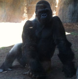 bafius73's profile picture. 