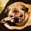 Noah Mercer - @NoahM_lhs - Twitter