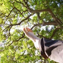 stonesoupist. bibrarian. 34yo. he/they/she all good!

english/català/español/gàidhlig (ag ionnsachadh)

follow requests welcome ñ__ñ