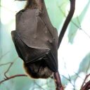 Beth Kramer - @Kramerbat - Twitter