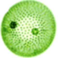 beaconomist's profile picture. Proximity, proximity, context. Economics at the junction of proximity, location, communication, commerce and privacy.