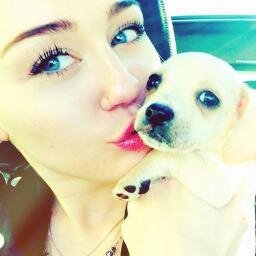 MrsBieberOreo's profile picture. Just a regular #belieber & Miley Cyrus fan, they're amazing.