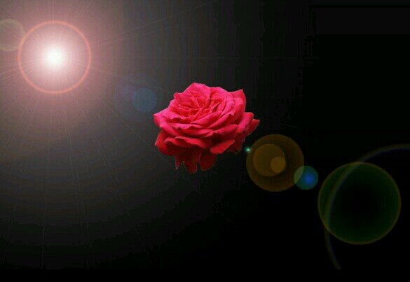 xDeemss_'s profile picture. 