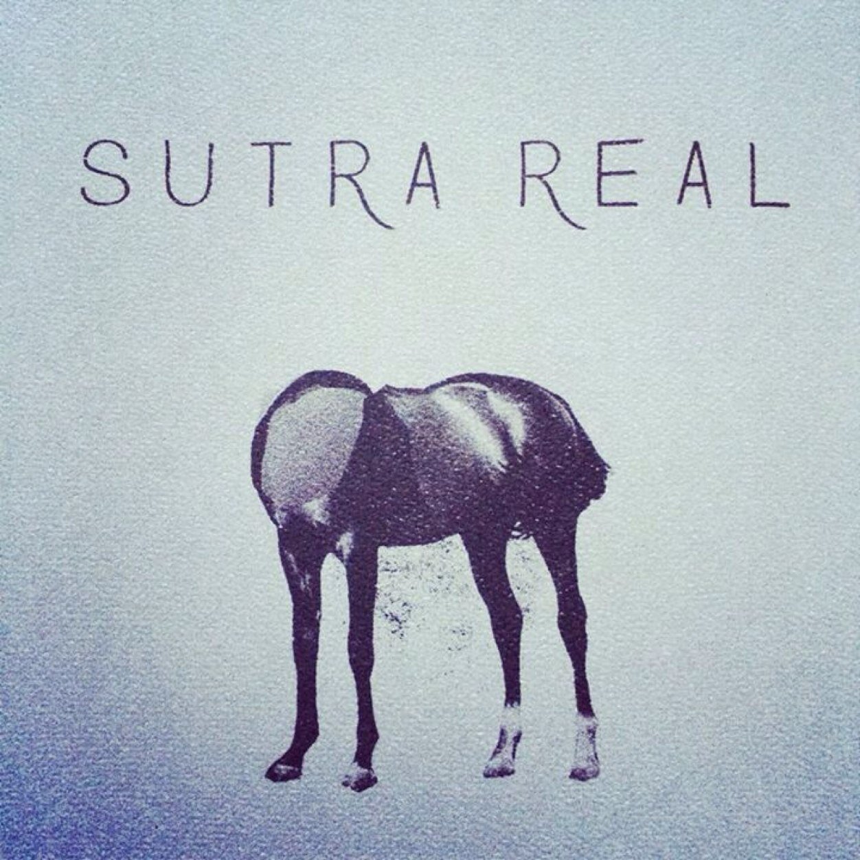 sutramx's profile picture. ROCK + NOISE + PSYCHEDELICS