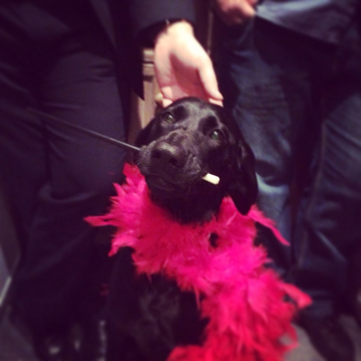 torenwright's profile picture. On 20th July I will be trying to complete the Thames Mighty Hike from Windsor to Henley to help raise money for Macmillan cancer and Ronald Macdonald Charities.