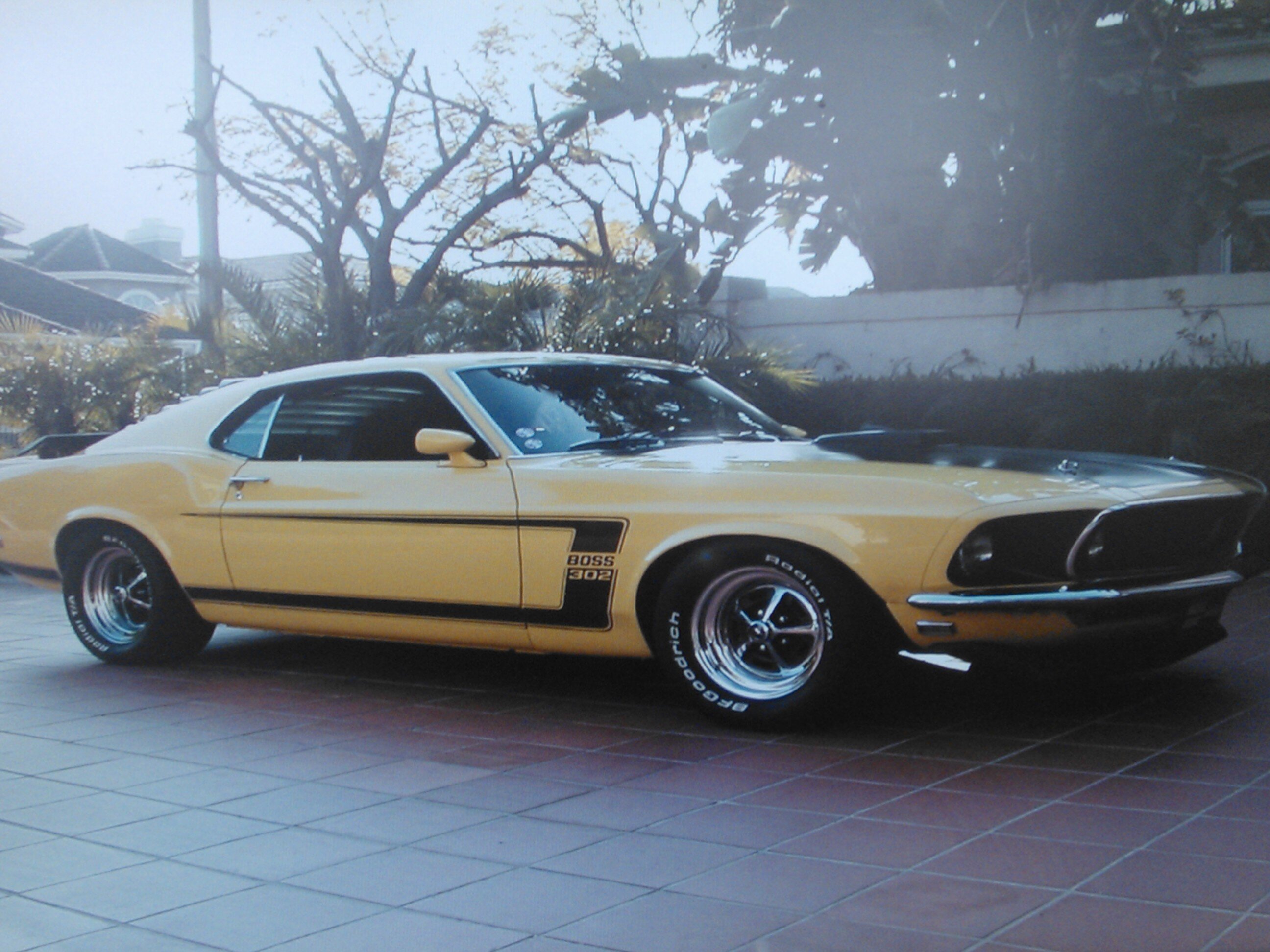 Crusercon's profile picture. Father of three, husband of one, hockey dad/coach, bomber season ticket holder since 1998