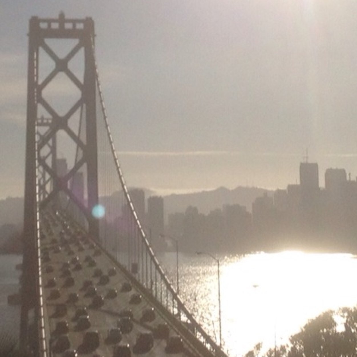 CornDoll1's profile picture. 