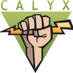 The Calyx Institute (@calyxinstitute) Twitter profile photo The Calyx Institute (@calyxinstitute) Twitter profile photo