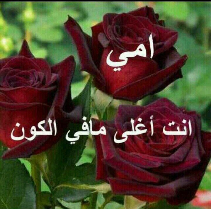 ‏‏‏‏ربي . . آجعل آمورحيآتنا ڪَ حبآت المطر تآتي بدون موعد وتجعلنا سعدآء♡