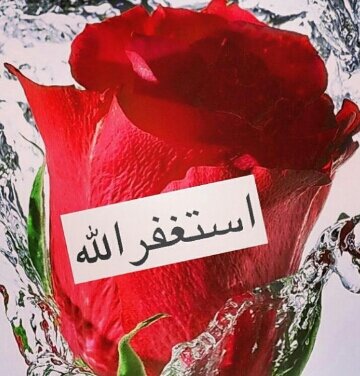 ربي ﻻتذرني فردا وانت خير الوارثين