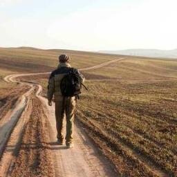 El_yobo208's profile picture. Lettore accanito e Nerd