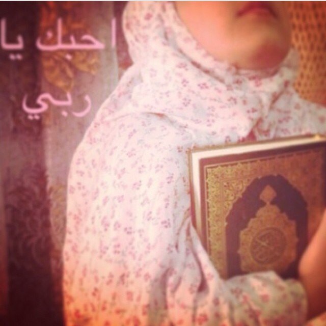 msh3ll200 Profile Picture