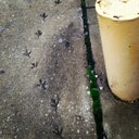 Leah Bryner - @leah_bryner - Twitter