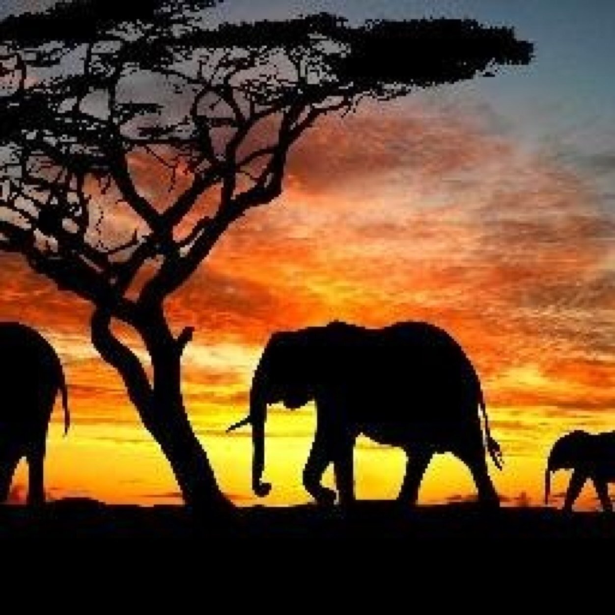 Mind blowing facts and pictures. We follow back.