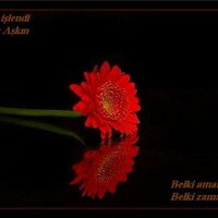 🇹🇷 Adem Altuntaş🇹🇷 (@altuntas_60) Twitter profile photo