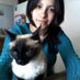 Diana Torres (@dianerikat) Twitter profile photo Diana Torres (@dianerikat) Twitter profile photo