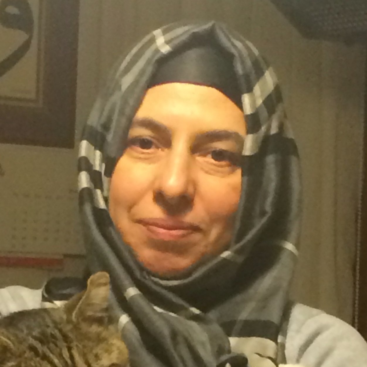 incikarabasoglu's profile picture. 