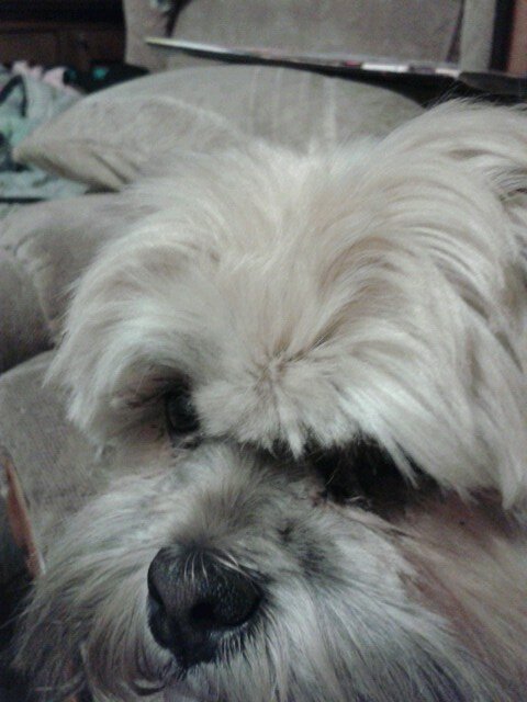 Tasha_12490's profile picture. Work, Eat and Sleep