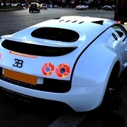 Luxury Exotic Sports Car SUV Rental