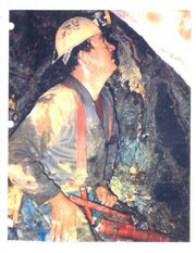 Miner (coal, copper, gold & silver), engineer, corp executive,family man, hobbies: history, geography, environment, science.