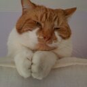 Bruce Bailey - @BruceBossBailey - Twitter