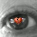 jakebraekes (The Truck Stops Here) (@jakebraekes) Twitter profile photo jakebraekes (The Truck Stops Here) (@jakebraekes) Twitter profile photo