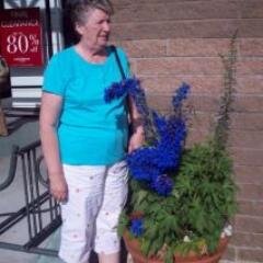 lewis17374858's profile picture. 