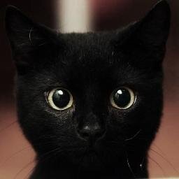Ainda que eu falasse a lingua dos homens, e falasse a lingua dos anjos, sem amor, eu nada seria.