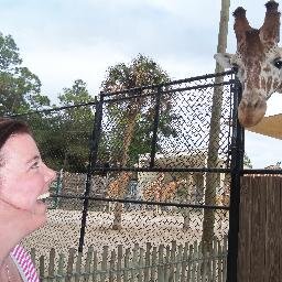 perryml425's profile picture. 