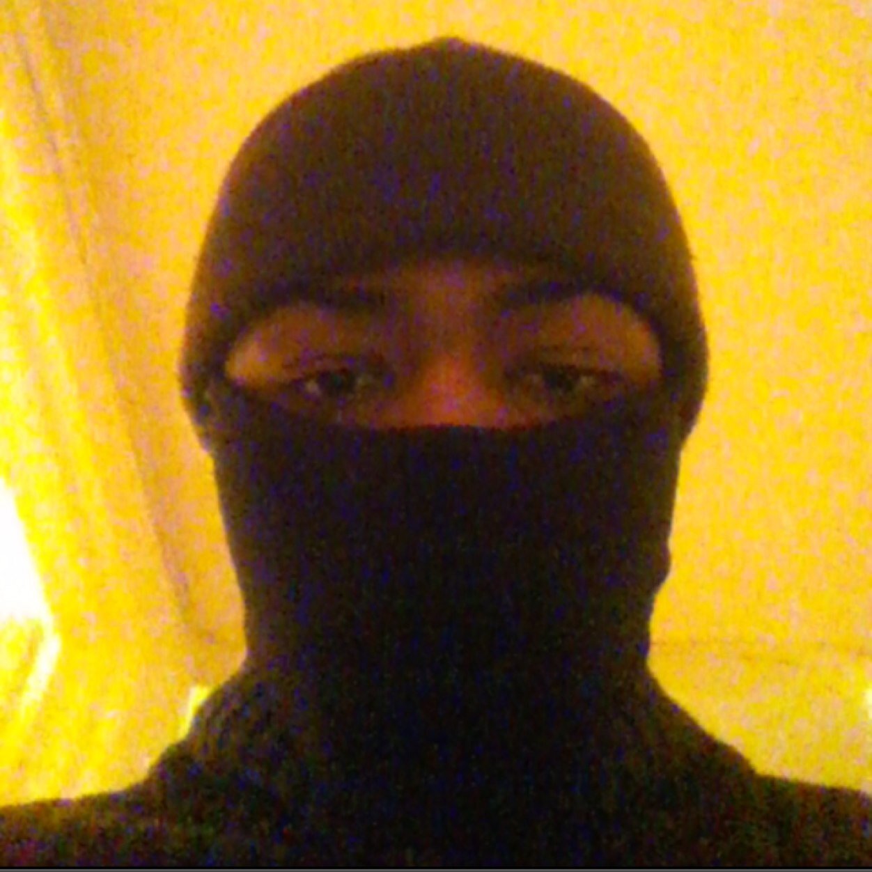 fuck a bio just follow a nigga