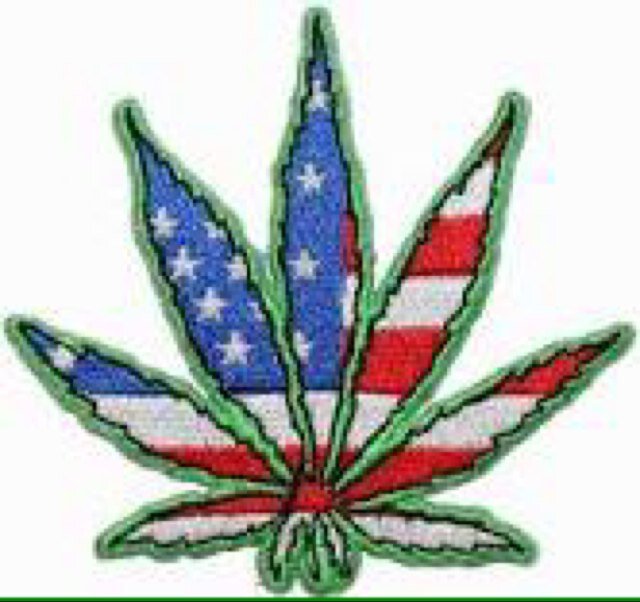 Get high #teamfollowback