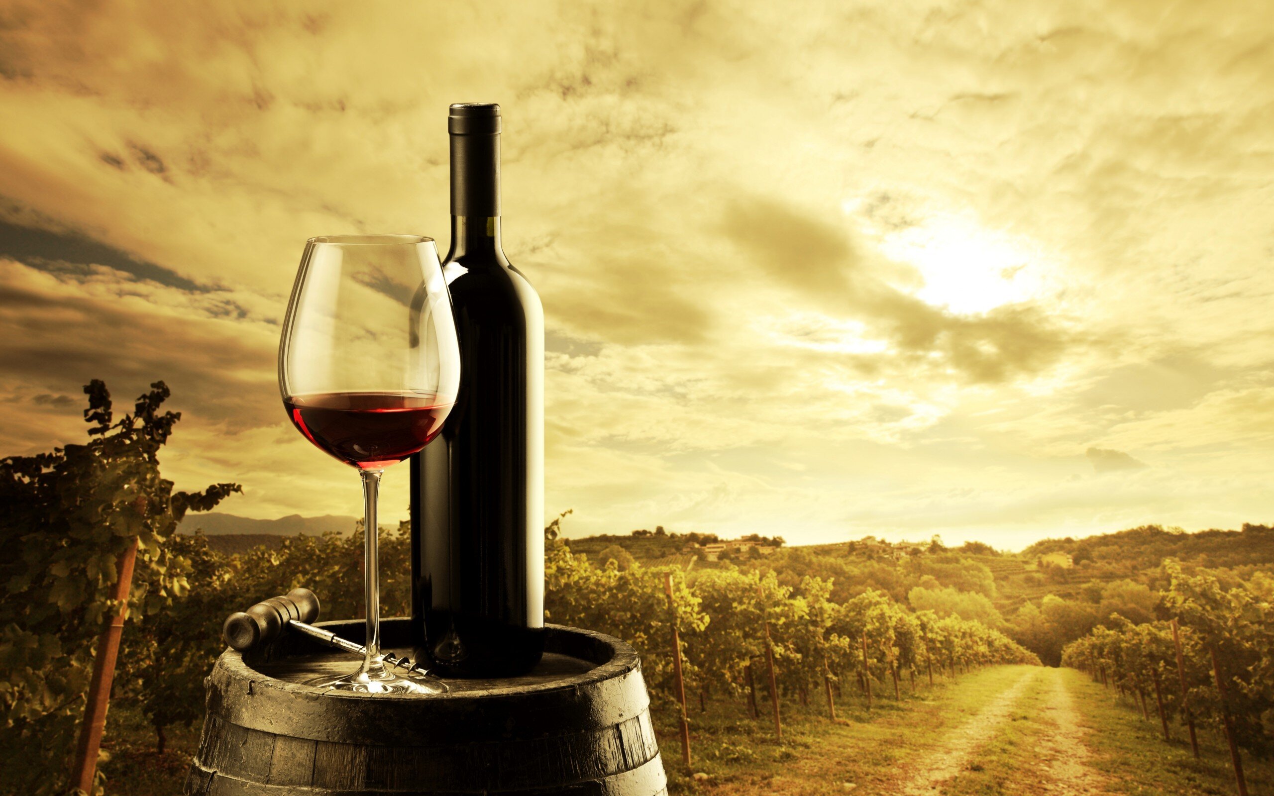 You're Guide to Everything Wine in Americas Finest City