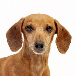 The spa for your best friend's paws.
http://t.co/Dtm2ZaDeJO