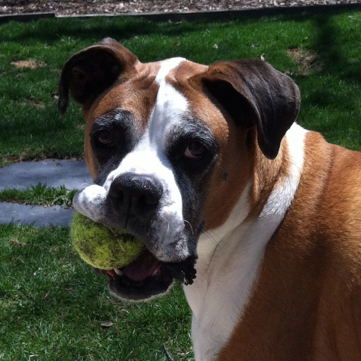 RobertSolomon86's profile picture. 