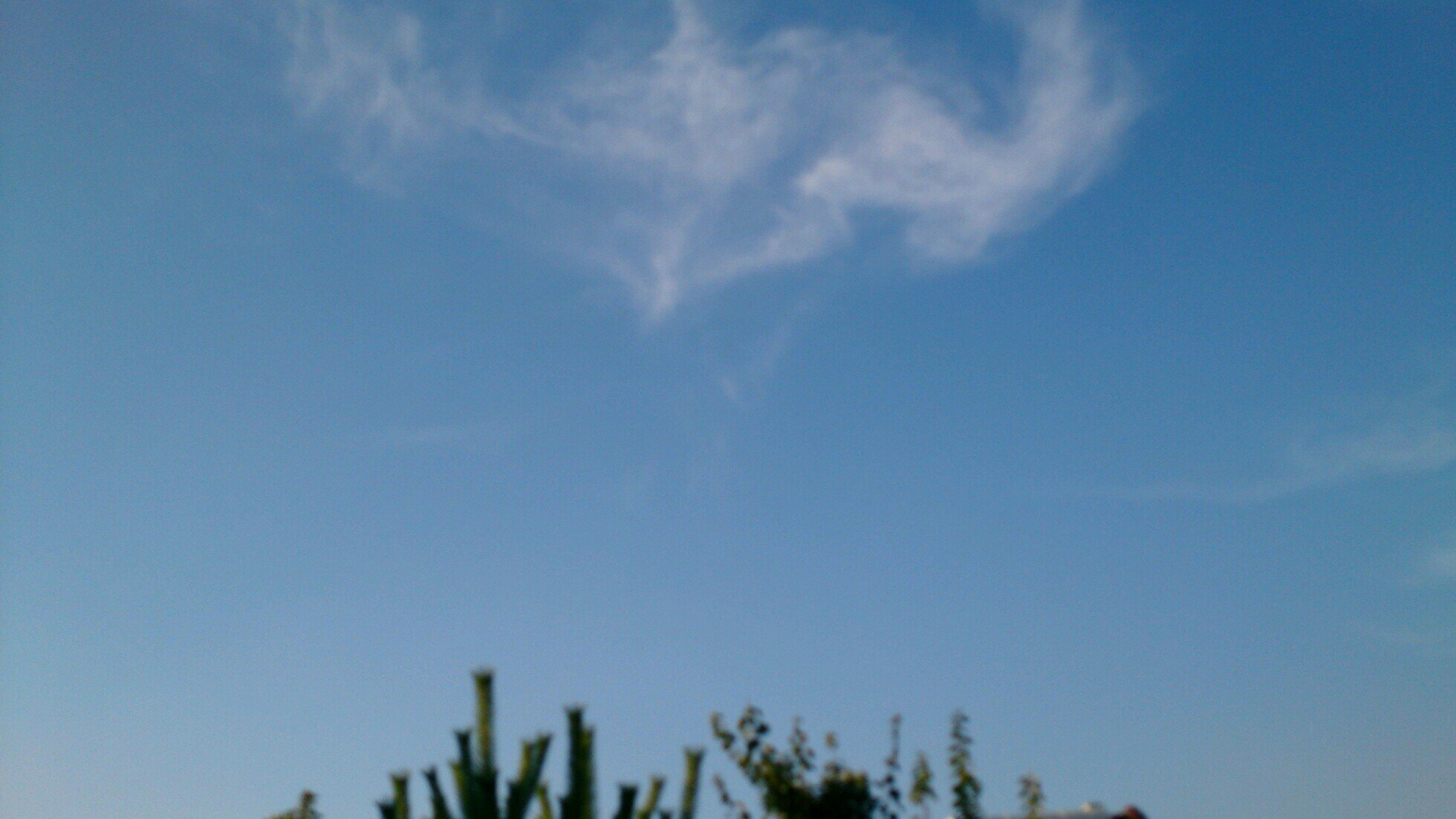 北川 桃圭 Juria Twitter