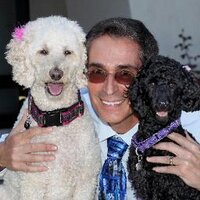 Karl Steinberg MD CMD HMDC (he/him) (@karlsteinberg) 's Twitter Profile