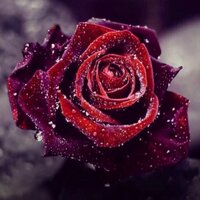 3yshah (@1_raw3t) 's Twitter Profile