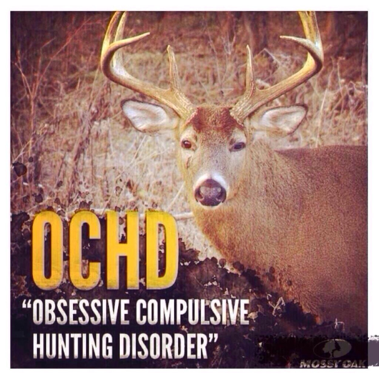 Live to hunt 
Hunt to live