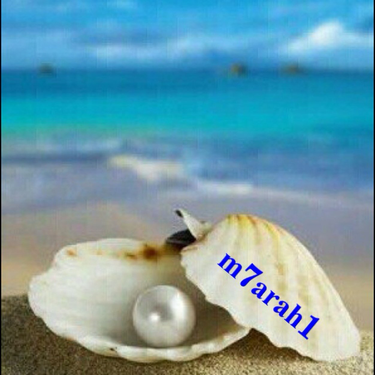 محاره .. لا تتواجد إلا في الأعماق ..... داخلها لؤلؤه .....                   الرياض               k.s.a
