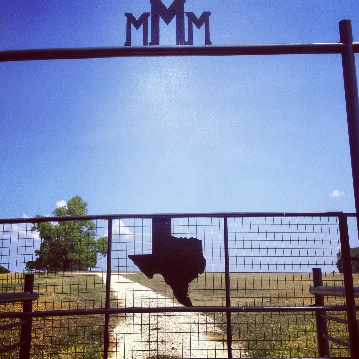 HtownLobo57's profile picture. 