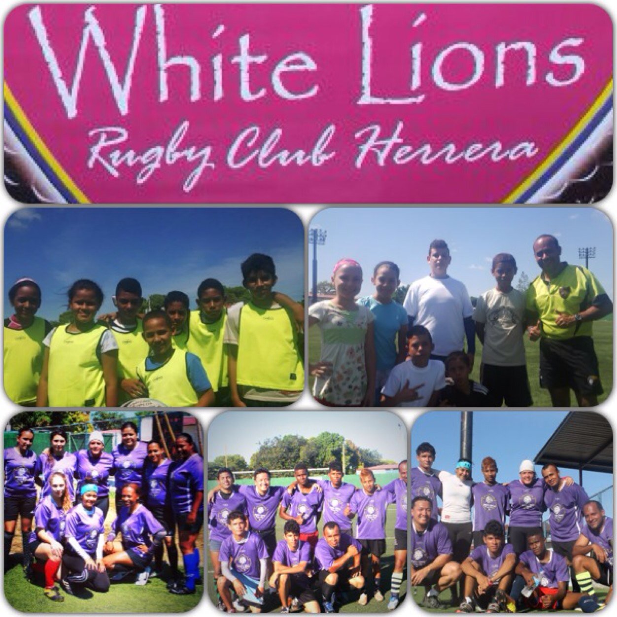 Cuenta Oficial de WhiteLionsRugbyClubHerrera Contacto: 6614.3003/6624.3308 Correo: whitelion.rc@gmail.com #masqueunequipounafamilia #juegarugby #sediferente