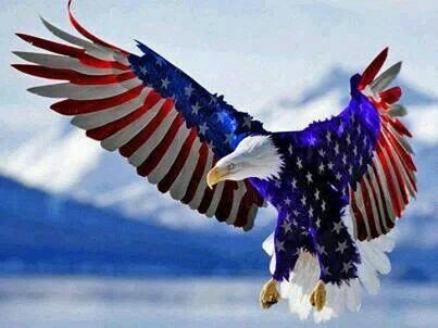 brian01232's profile picture. 