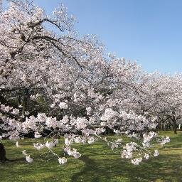 宮崎県都城市は、霧島連山の麓にあり、宮崎市と鹿児島市のほぼ中間にあたる都市です。
自然豊かな都城は、牛・豚・鶏の生産量日本一!!
そして島津発祥の地でもあります。
そんな都城市から旬な話題やつぶやきを発信していきます!!!